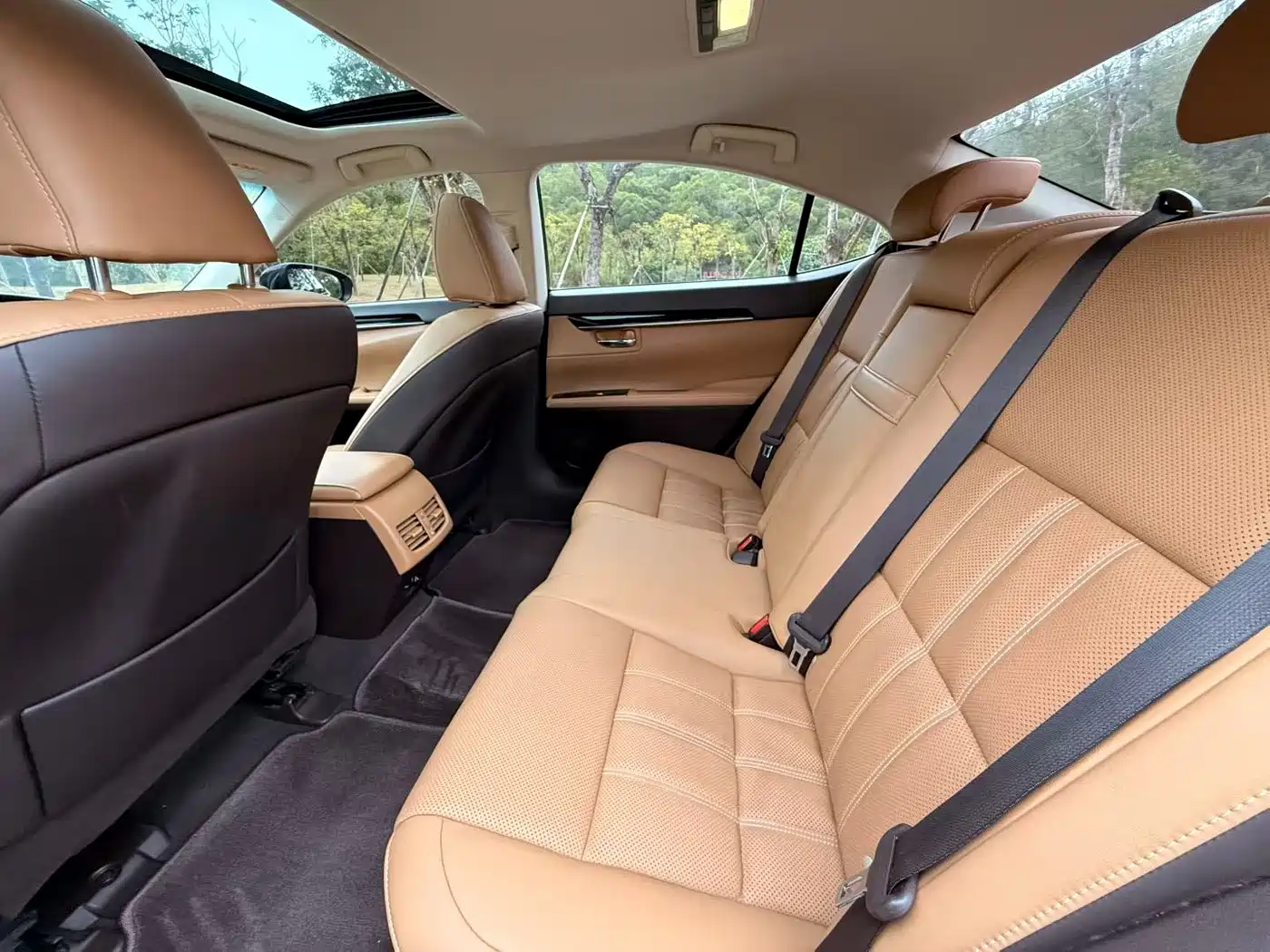 Lexus ES 2015 200 Elite Edition фото 6