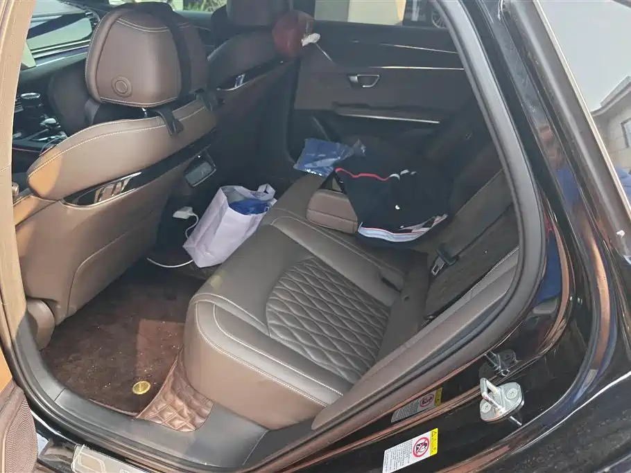 BYD Han 2020 EV Extended Range Premium фото 11