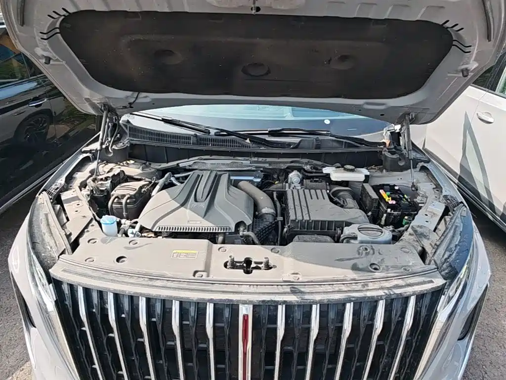 Hongqi HS7 PHEV 2024 2.0T PHEV AWD Flagship 6-Seater фото 20