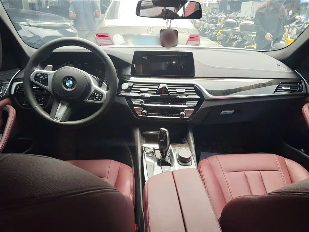 BMW 5 Series 2020 530Li Leading M Sport Package фото 10