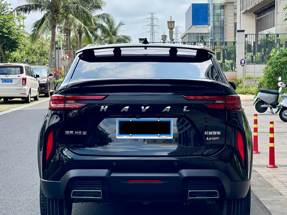 HAVAL H6S