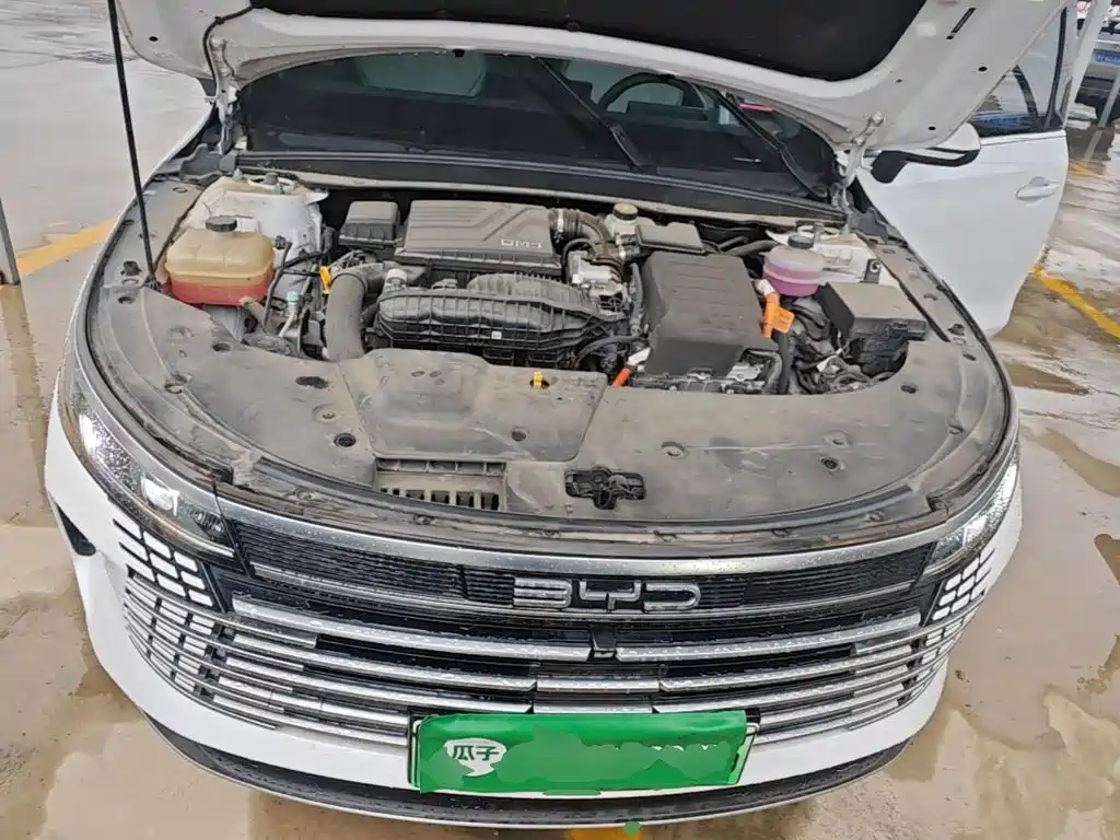 BYD Destroyer 05 2025 2024 Glory Edition DM-i 55KM Luxury