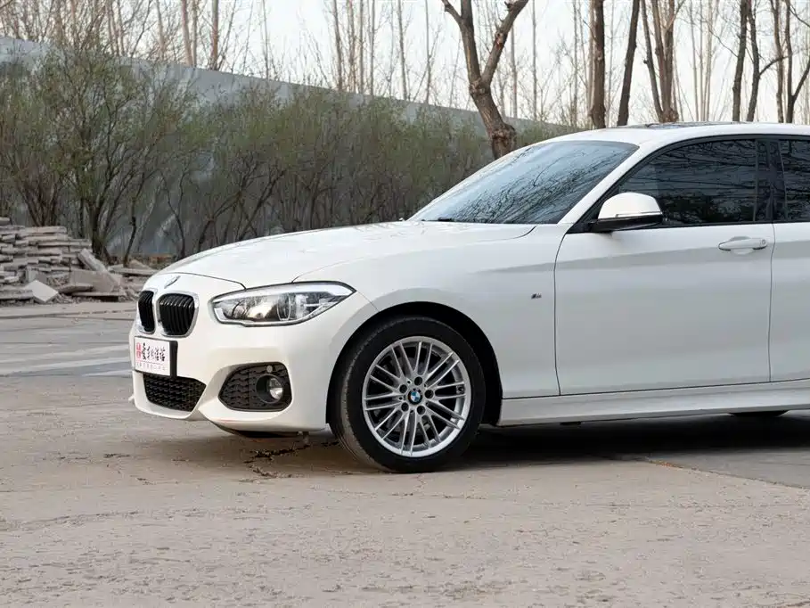 BMW 1 Series (Import) 2018 120i M Sport Package фото 12