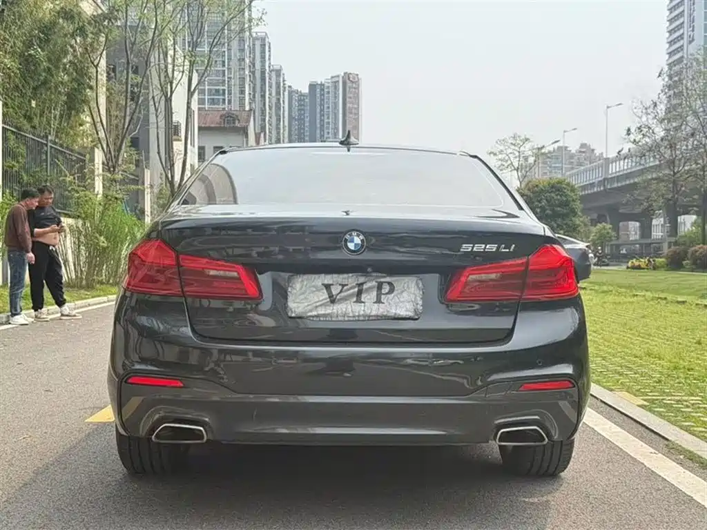 BMW 5 Series 2019 525Li M Sport Package фото 8