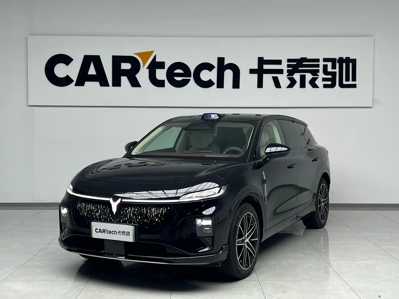 Voyah Auto Voyah Zhiyin 2025 Base