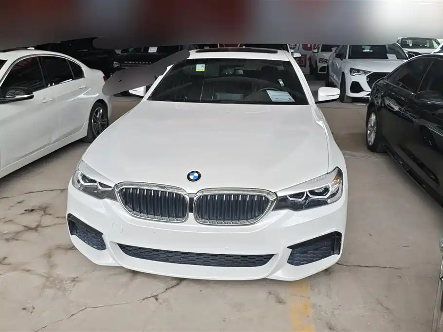 BMW 5 Series 2020 525Li M Sport Package фото 2