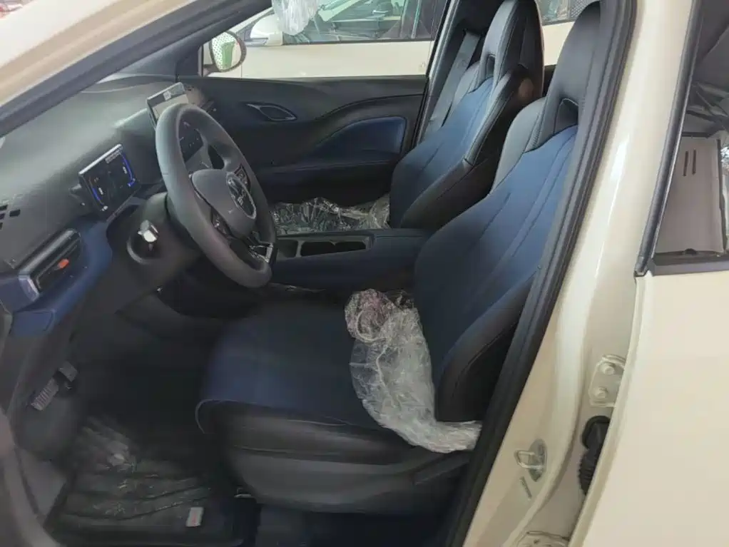BYD Seagull 2026 2025 Smart Drive Edition 305km Vitality Version