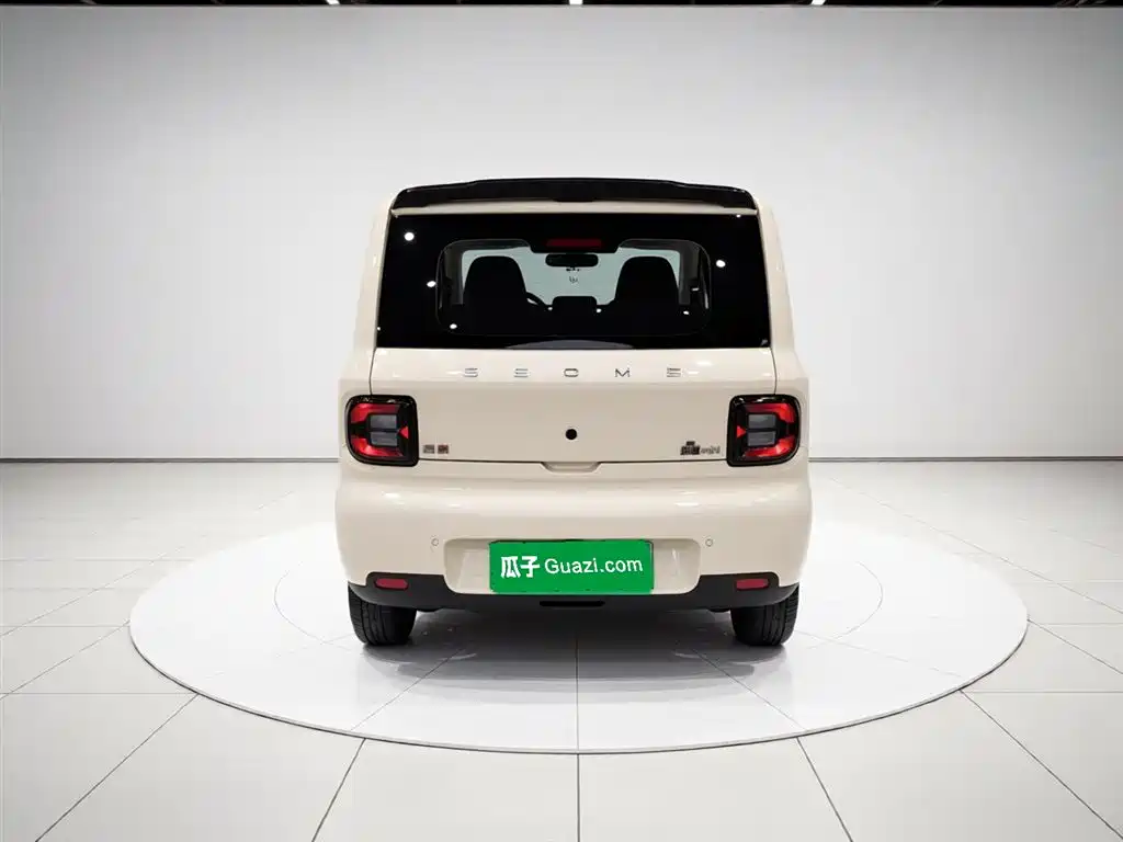 Geely Galaxy Panda 2025 Panda mini 210km Vitality Bear фото 6