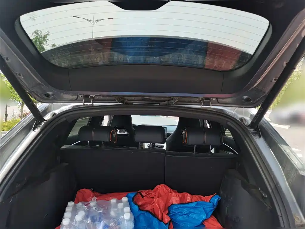 BYD Song PLUS PHEV 2024 Glory Edition DM-i 110km Flagship фото 10