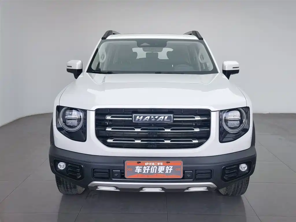 HAVAL BIG DOG