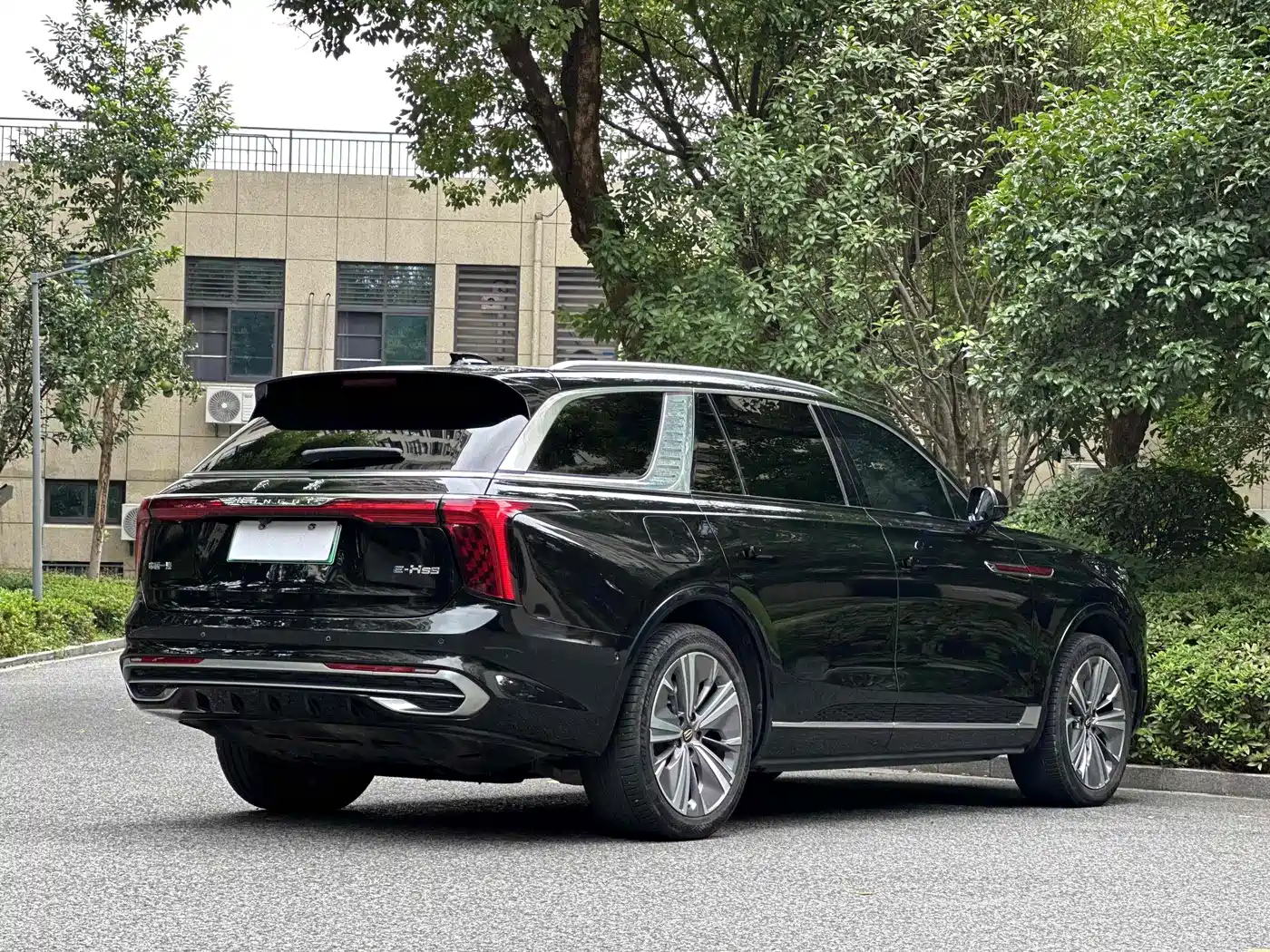Hongqi E-HS9 2021 460km Flagship Comfort 6-seater фото 4