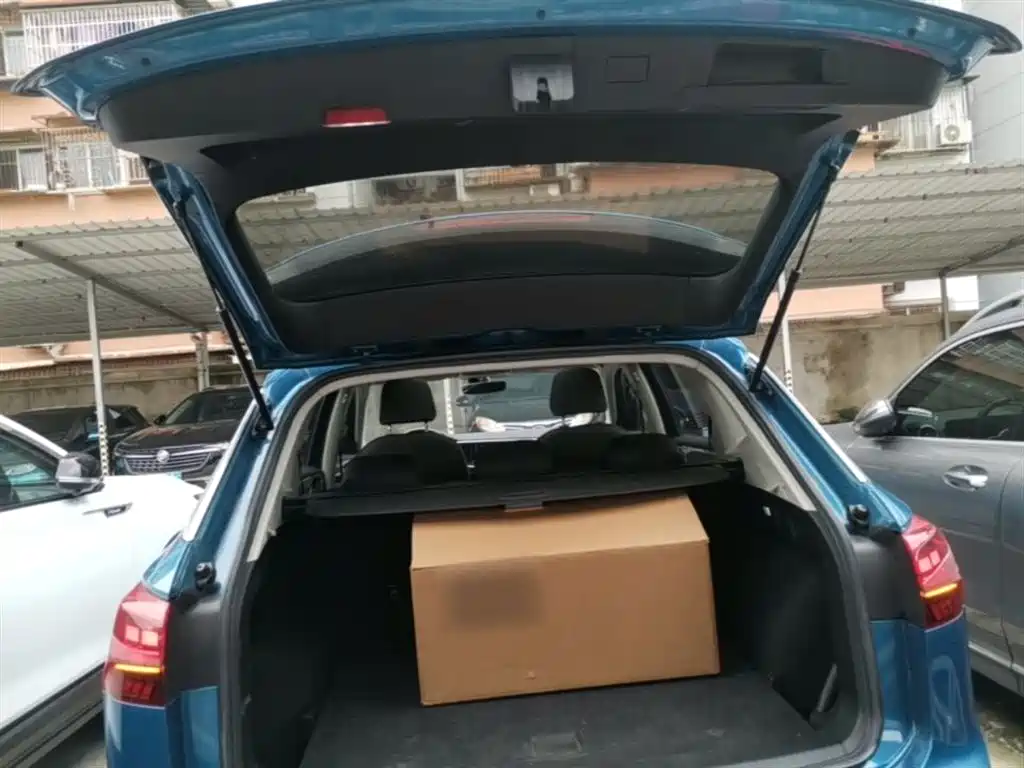 VOLKSWAGEN TANYUE
