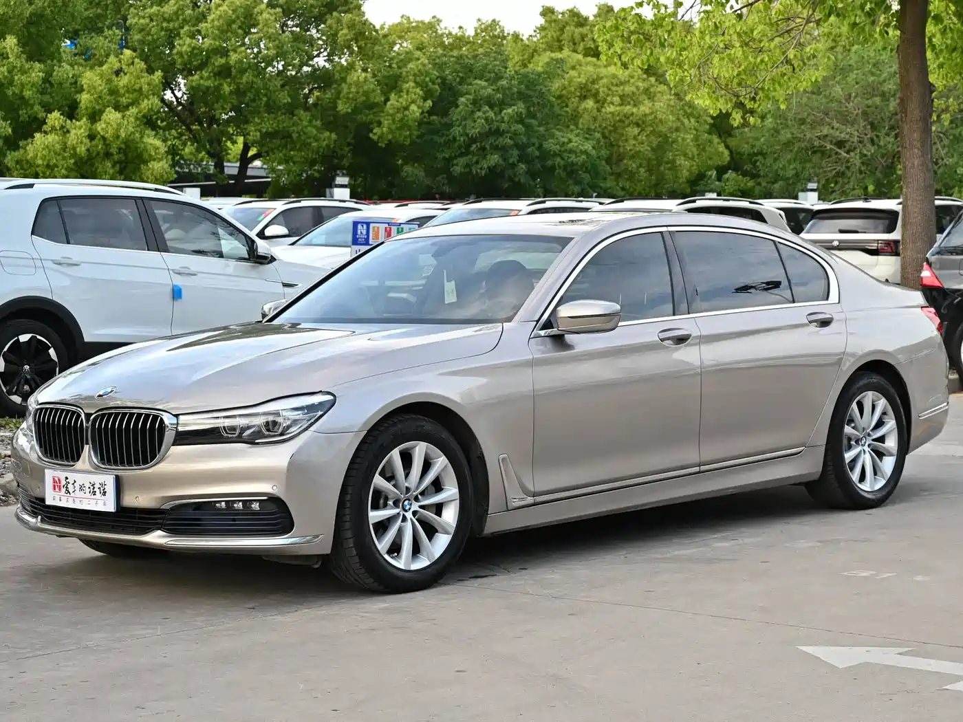 BMW 7 Series 2016 730Li Leading фото 2