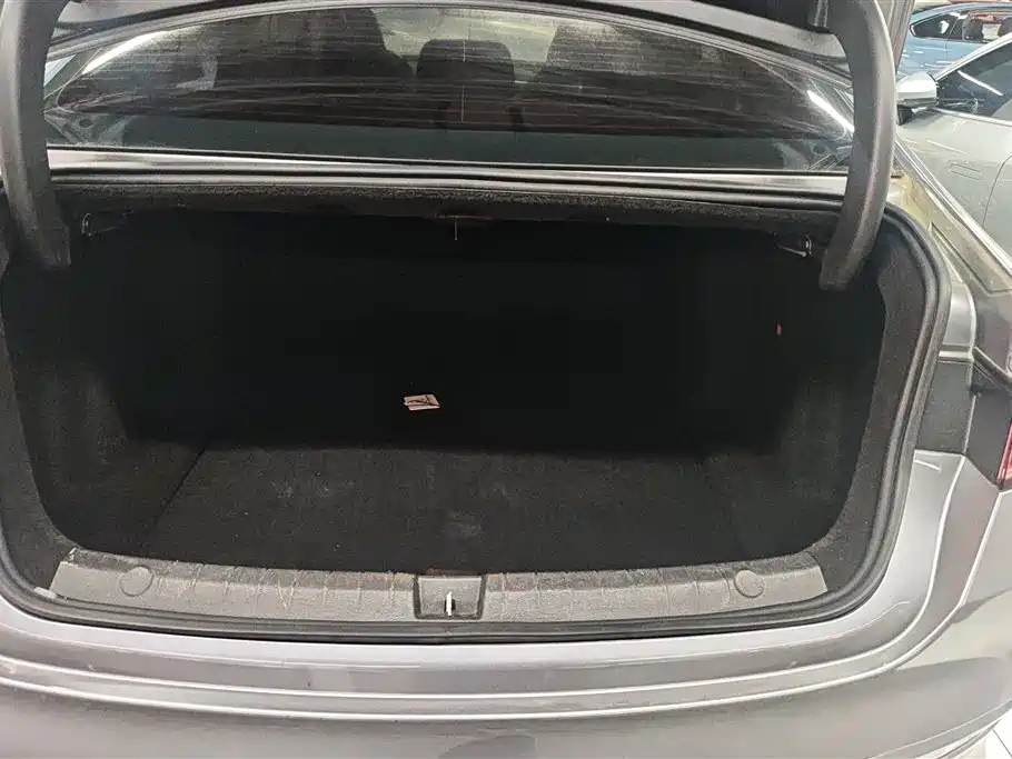 BYD Qin PLUS 2023 Champion Edition EV 420KM Leading Type фото 4
