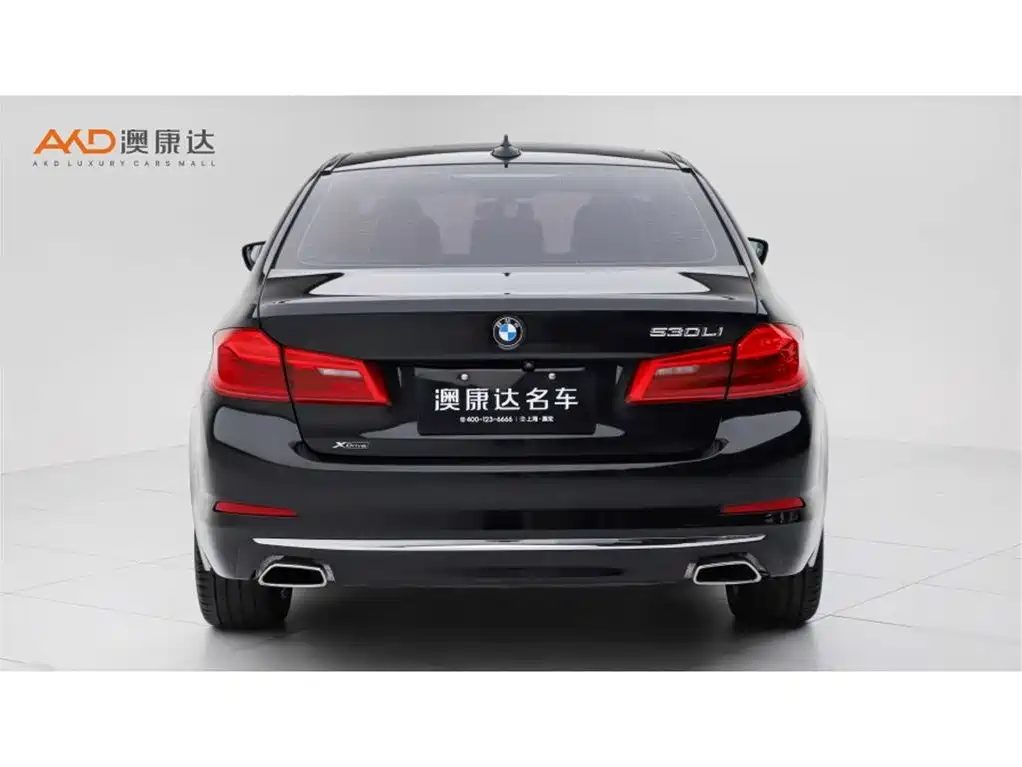 BMW 5 Series 2020 530Li xDrive Luxury Package фото 4