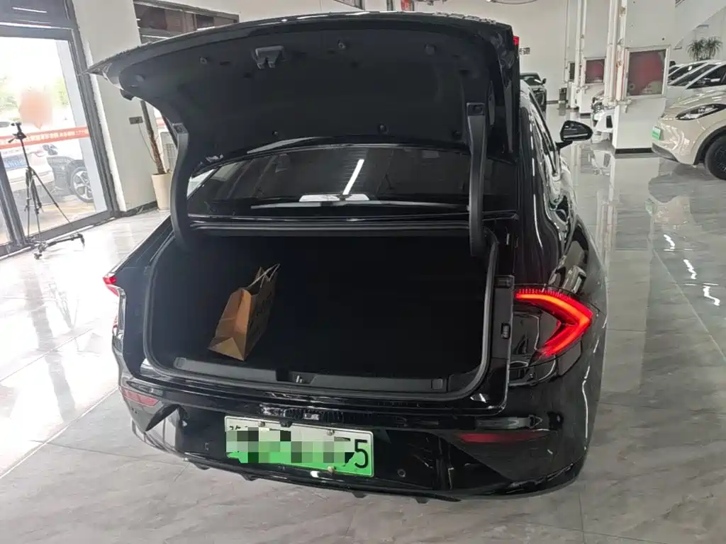 Wuling Motors Wuling Xingguang 2025 2025 Model 610km Smart Flagship