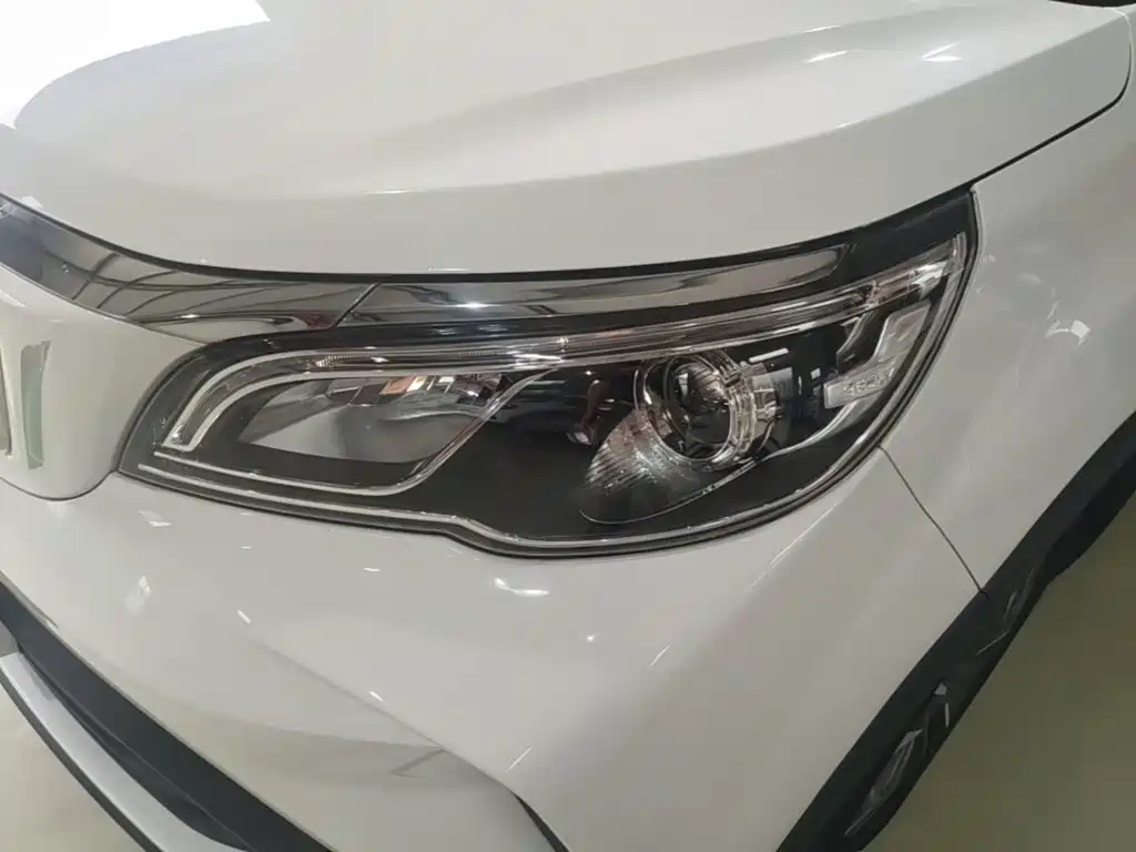 Geely Geometry EX3 Kung Fu Bull 2022 2021 Strong Bull