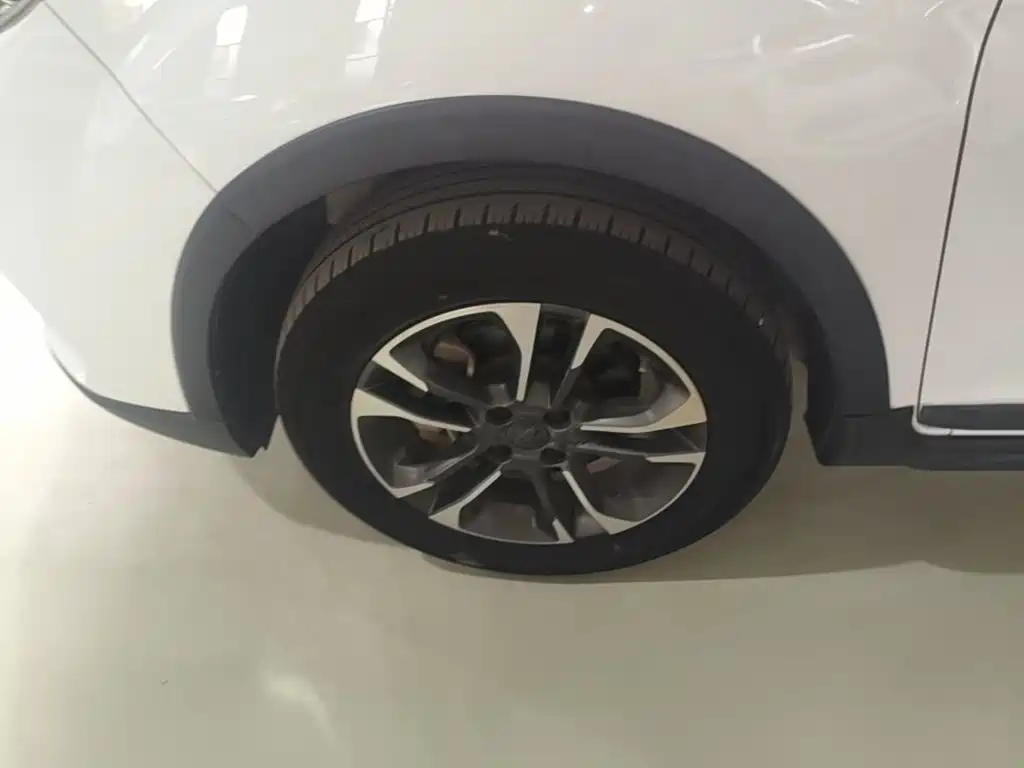 Geely Geometry EX3 Kung Fu Bull 2022 2021 Strong Bull