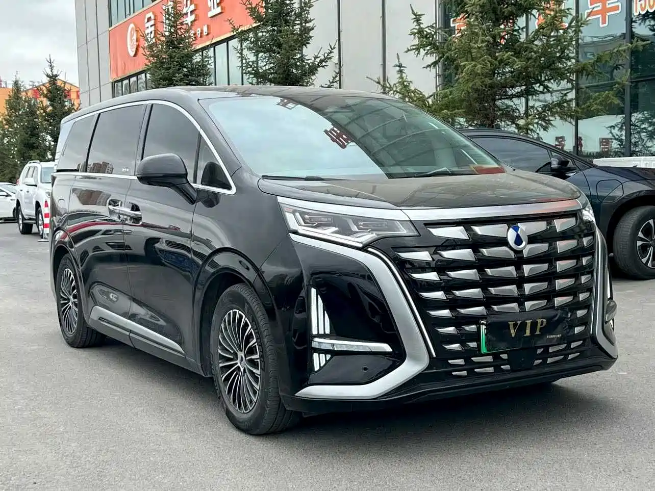 Denza D9 2022 DM-i 970 All-Wheel Drive Honor Edition фото 3