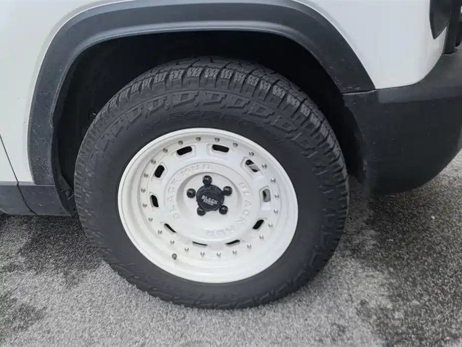 HAVAL RAPTORS NEW ENERGY