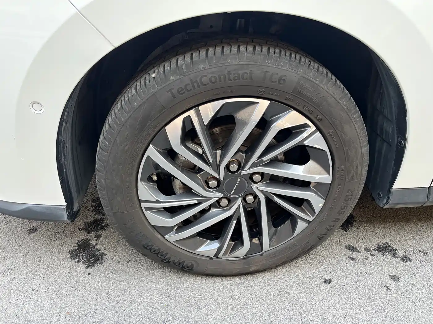 SAIC MAXUS CHASE G50