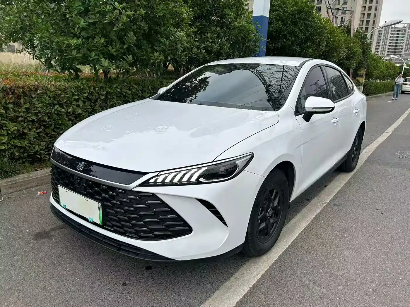 BYD Qin PLUS 2025 DM-i Smart Drive 55KM Leader