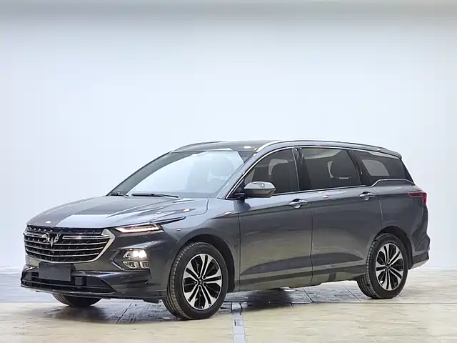 WULING WULING CAPGEMINI