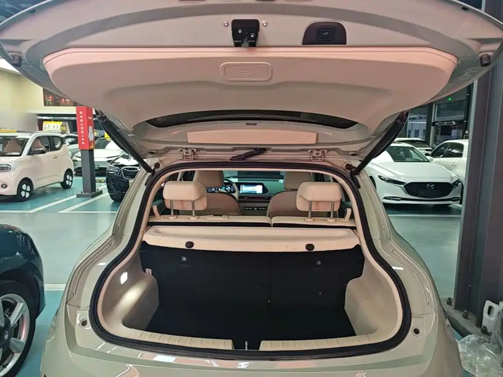 Ora Good Cat 2023 2022 400km Standard Range Luxury LFP