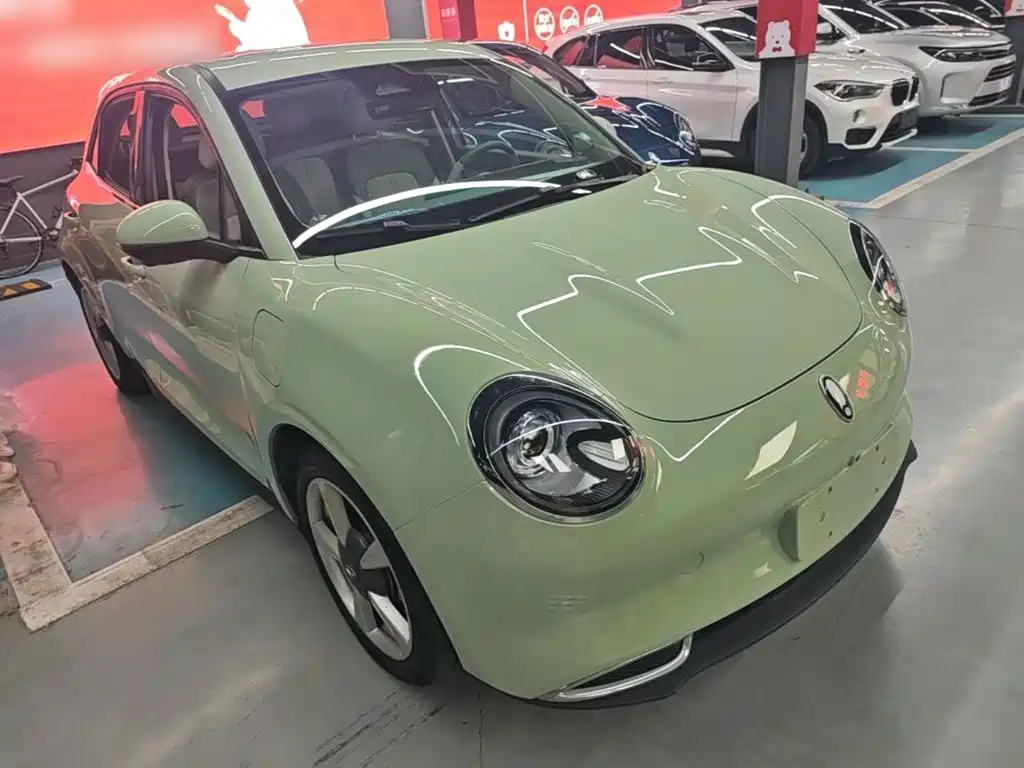 Ora Good Cat 2023 2022 400km Standard Range Luxury LFP