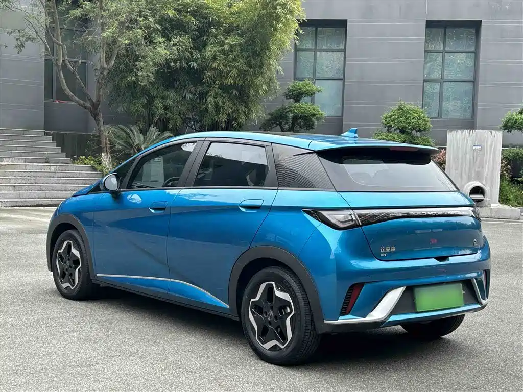 BYD Dolphin 2021 Model 405km Fashion Edition фото 25