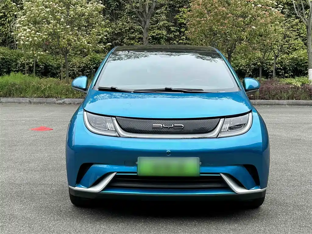 BYD Dolphin 2021 Model 405km Fashion Edition фото 23