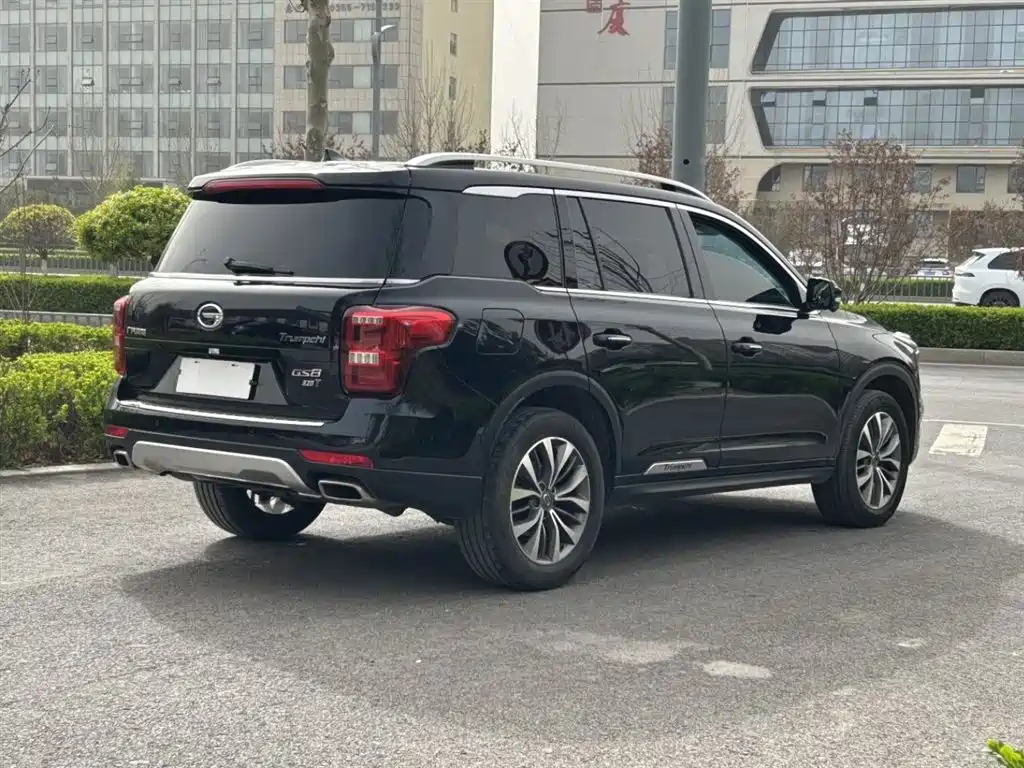 GAC Trumpchi Trumpchi GS8 2017 320T 2WD Luxury Smart Connect (7-seater) фото 9