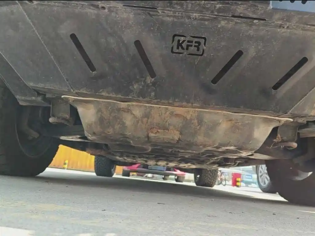 FANG CHENG BAO LEOPARD 8