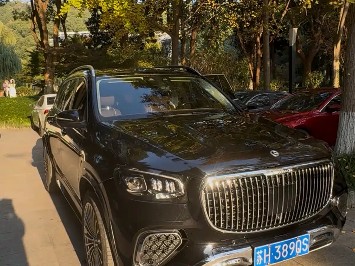 Mercedes-Benz GLS 2023 GLS 450 4MATIC Luxury Edition фото 13