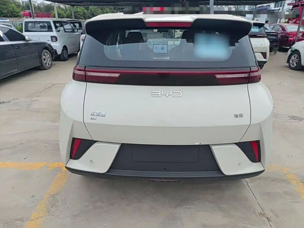 BYD Seagull 2026 2025 Smart Drive Edition 305km Vitality Version