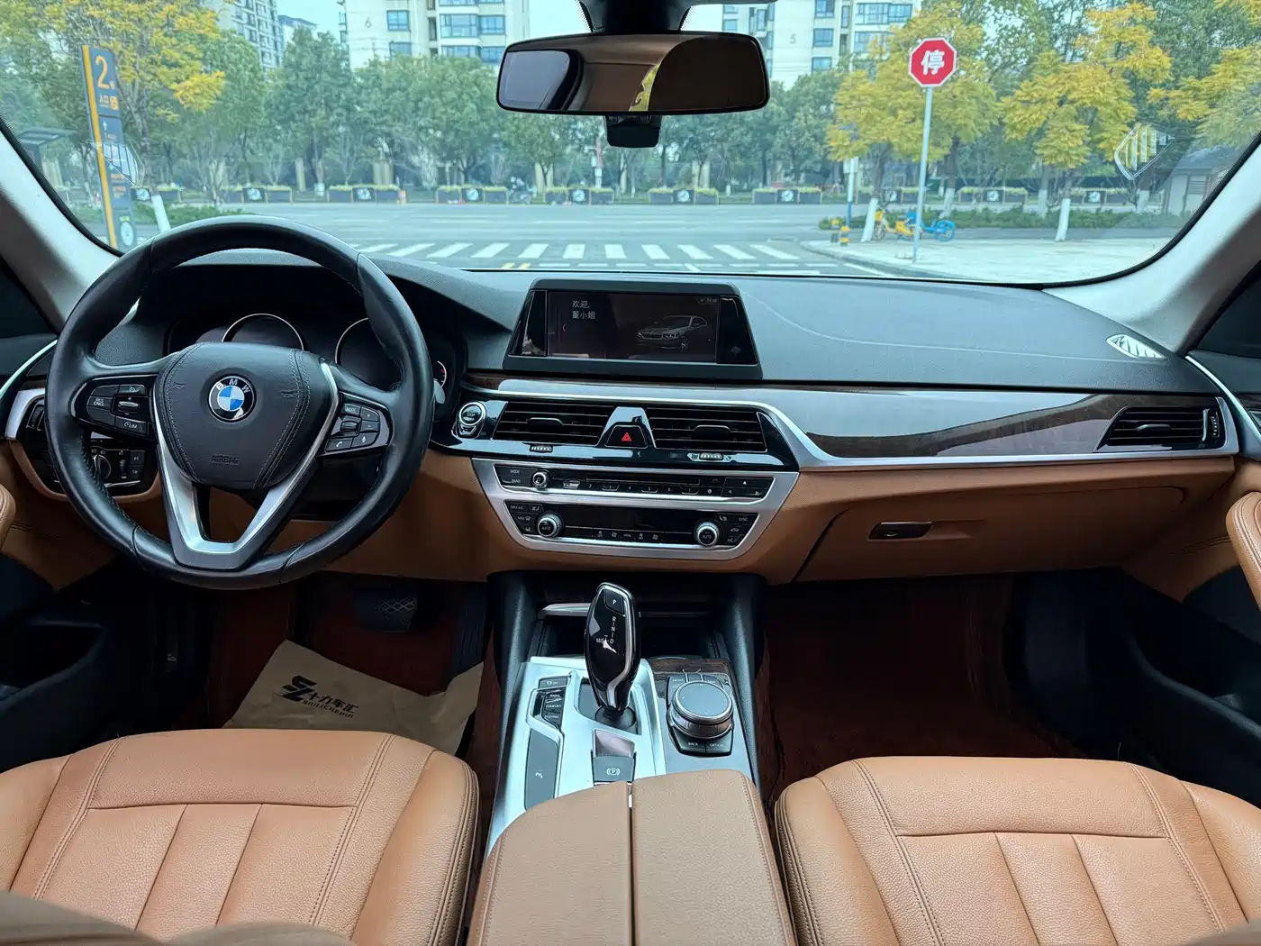 BMW 5 Series 2018 528Li Launch Special Edition фото 16