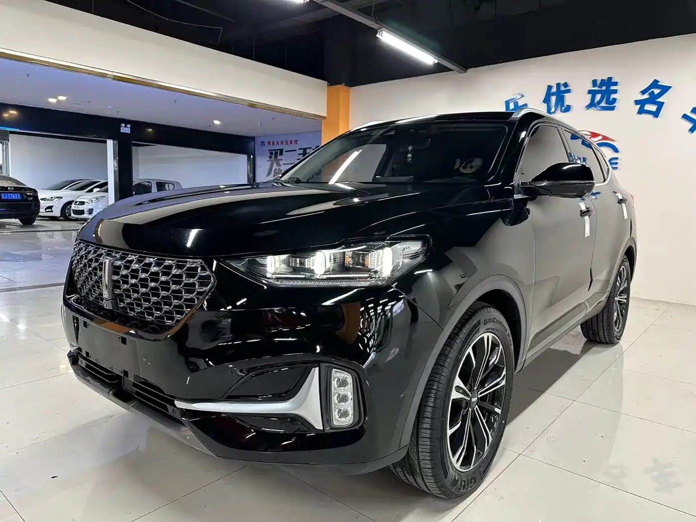 WEI PAI WEI BRAND VV6