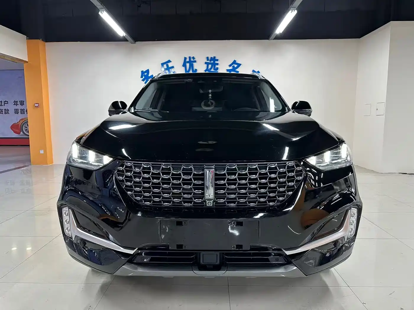 WEI PAI WEI BRAND VV6