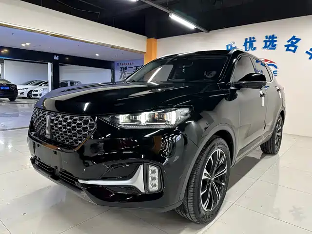 WEI PAI WEI BRAND VV6