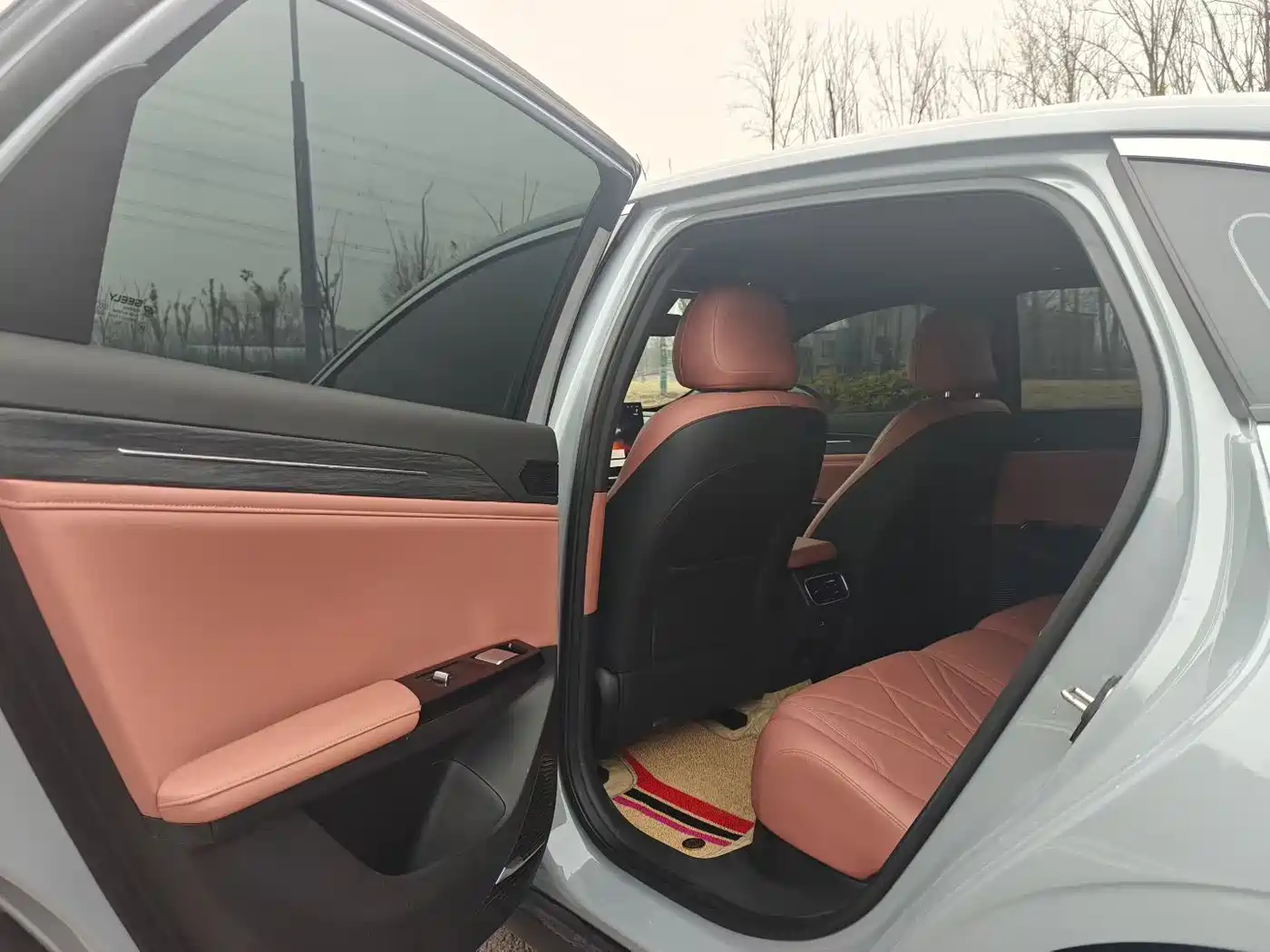 Geely Galaxy Galaxy L6 2025 EM-i 140km Voyage Edition фото 4