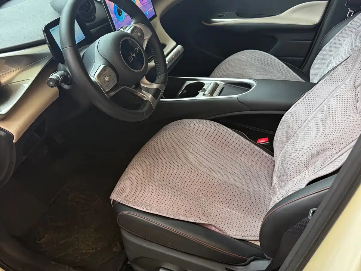 BYD Dolphin 2026 2025 420km Freedom Edition
