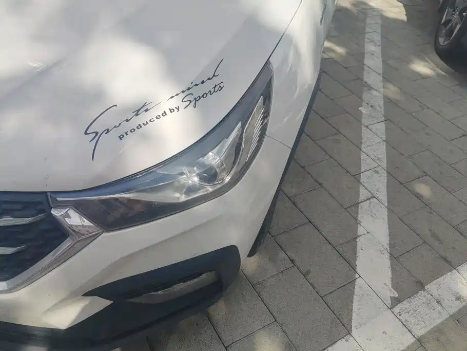Baojun 310W 2018 2018 1.5L Auto Fashion China V