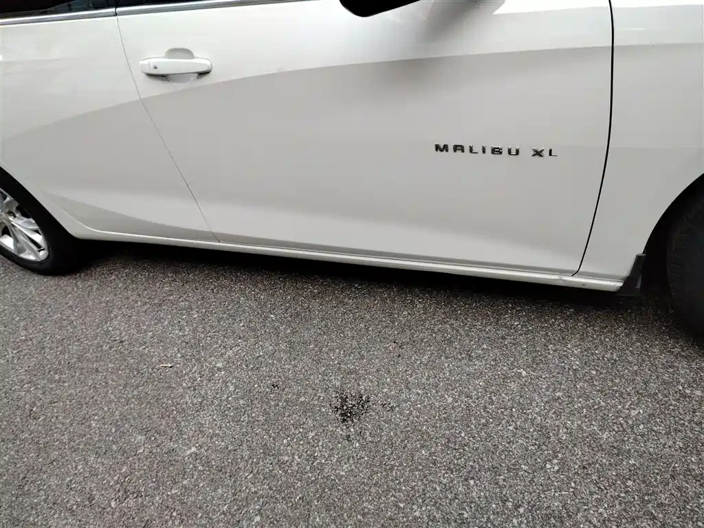 Chevrolet Malibu XL 2019 535T CVT Dynamic Edition фото 21