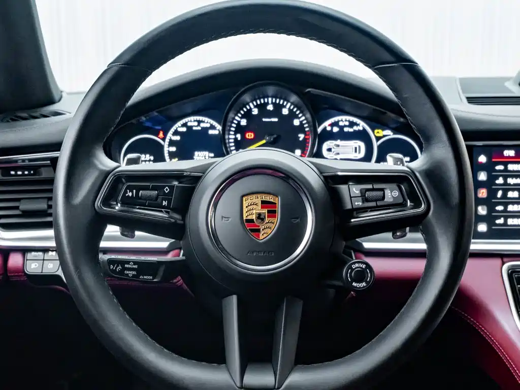  Panamera New Energy