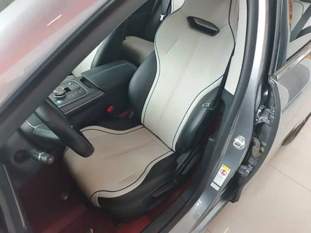 BYD Destroyer 05 2025 2024 Glory Edition DM-i 55KM Luxury