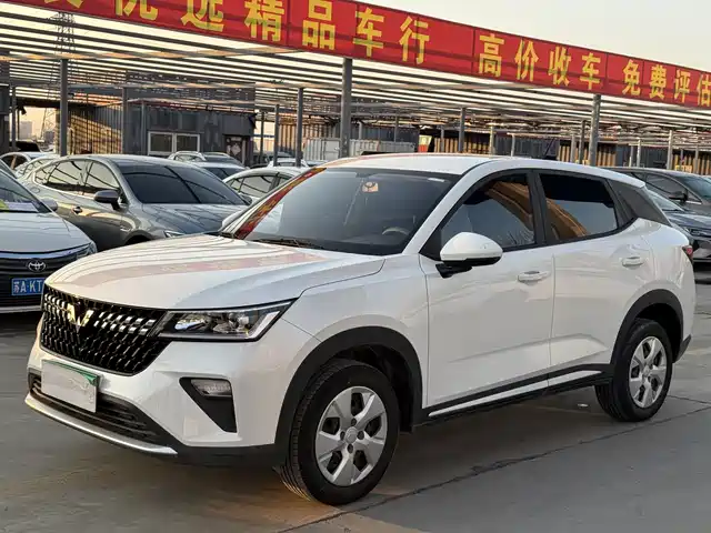 WULING WULING XINGCHI