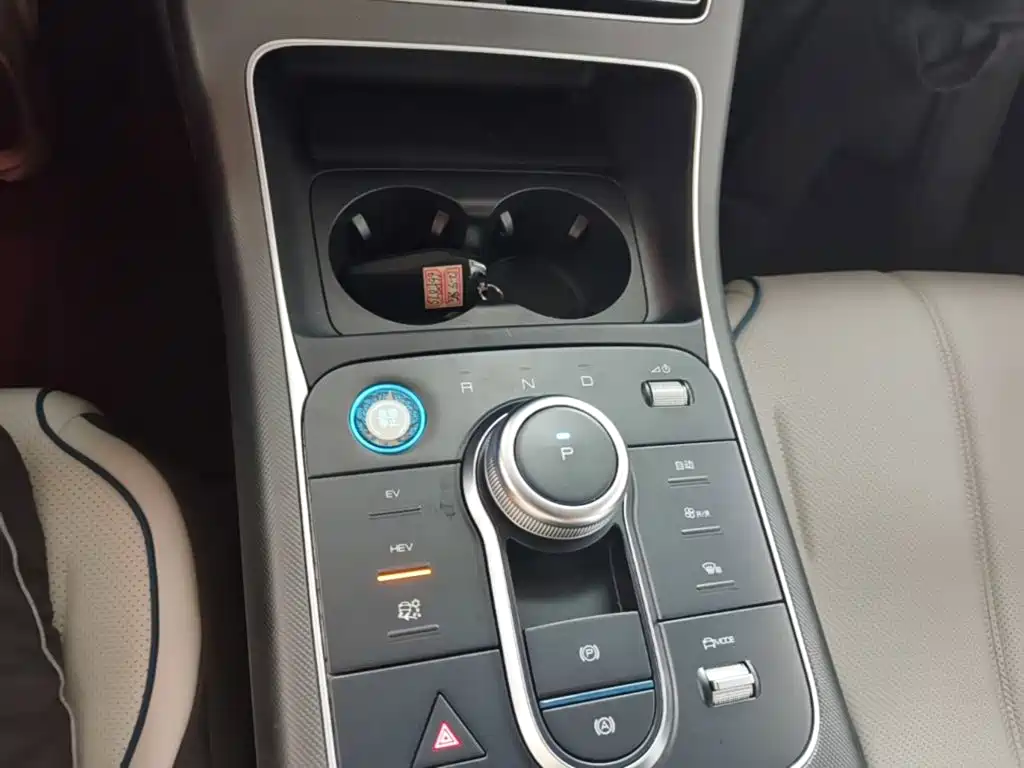 BYD Destroyer 05 2025 2024 Glory Edition DM-i 55KM Luxury