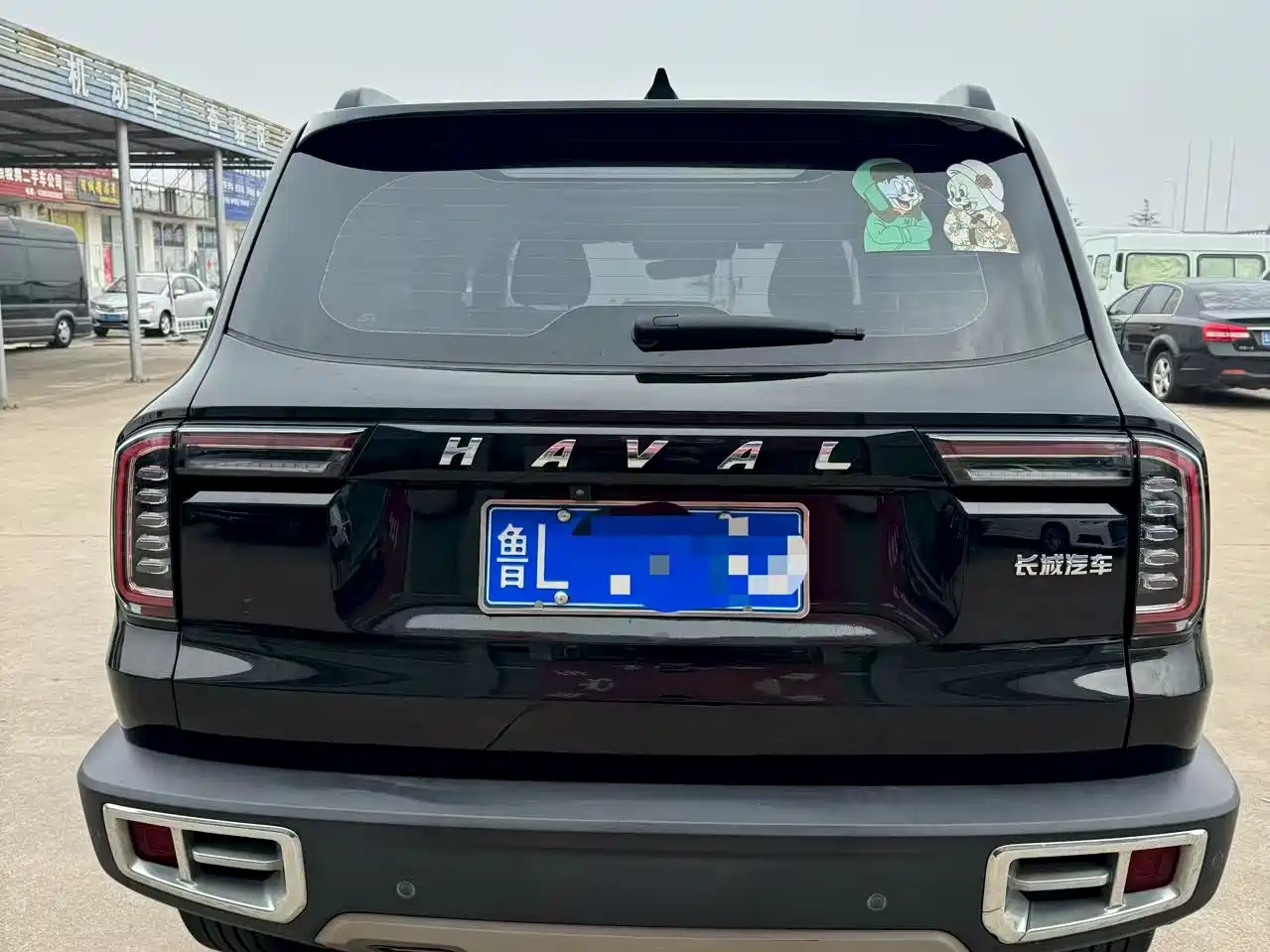 HAVAL BIG DOG