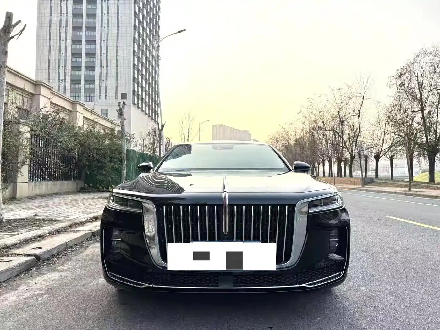 Hongqi HONGQI H9