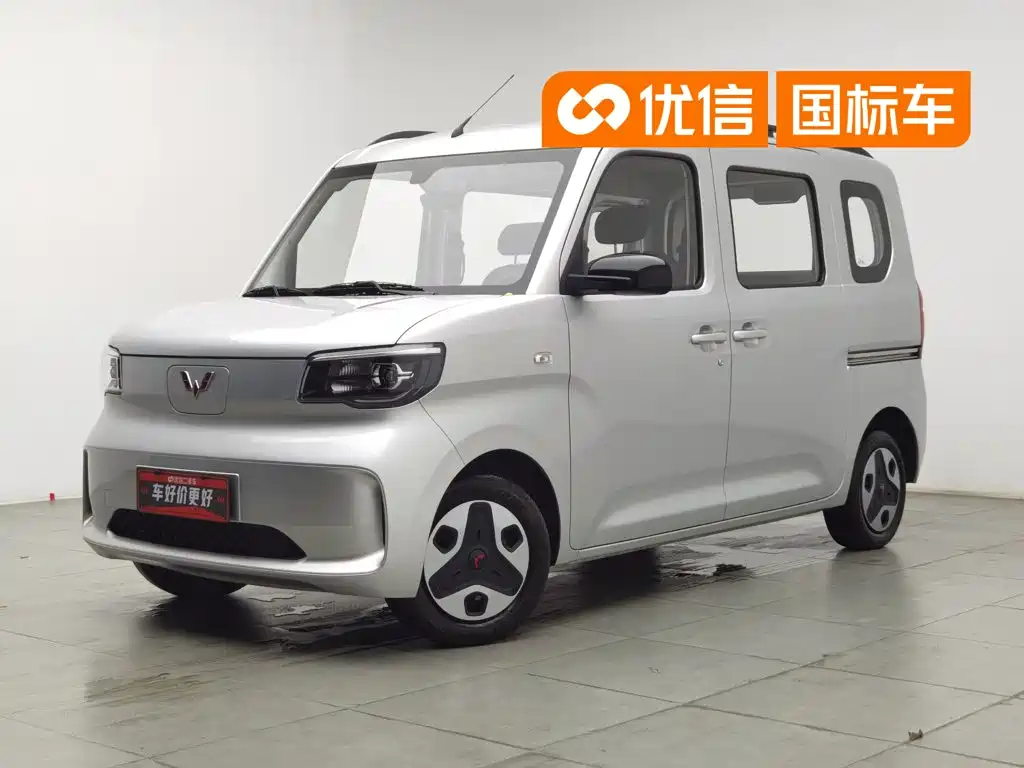 Wuling Motors Wuling Zhiguang NEV 2025 2025 Model 305km Base Version